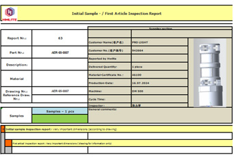8. Primer informe de inspección articular